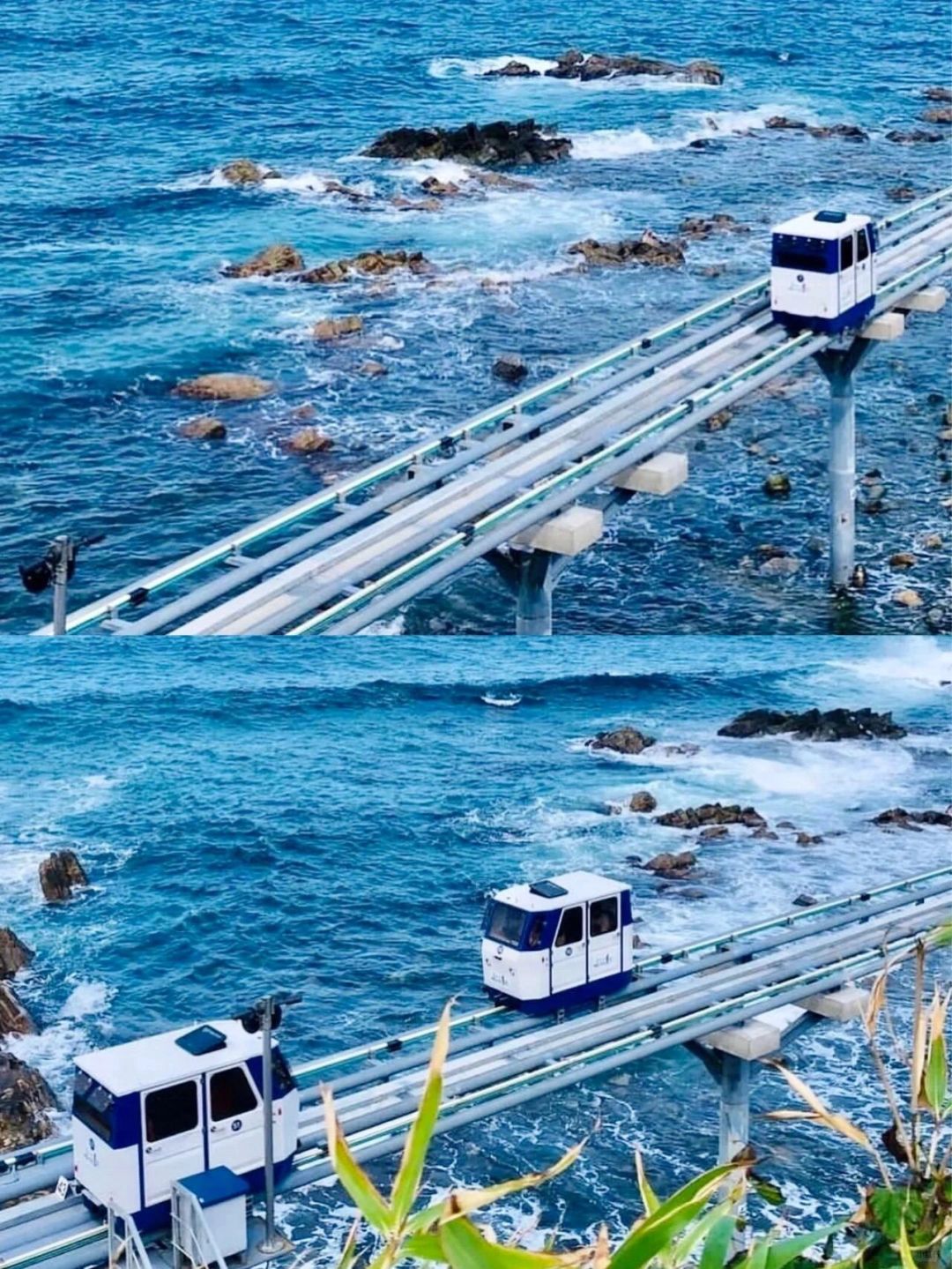 Busan/Jeju-Traveling to Busan, experiencing the seaside capsule train, it feels like being in Hayao Miyazaki's animation