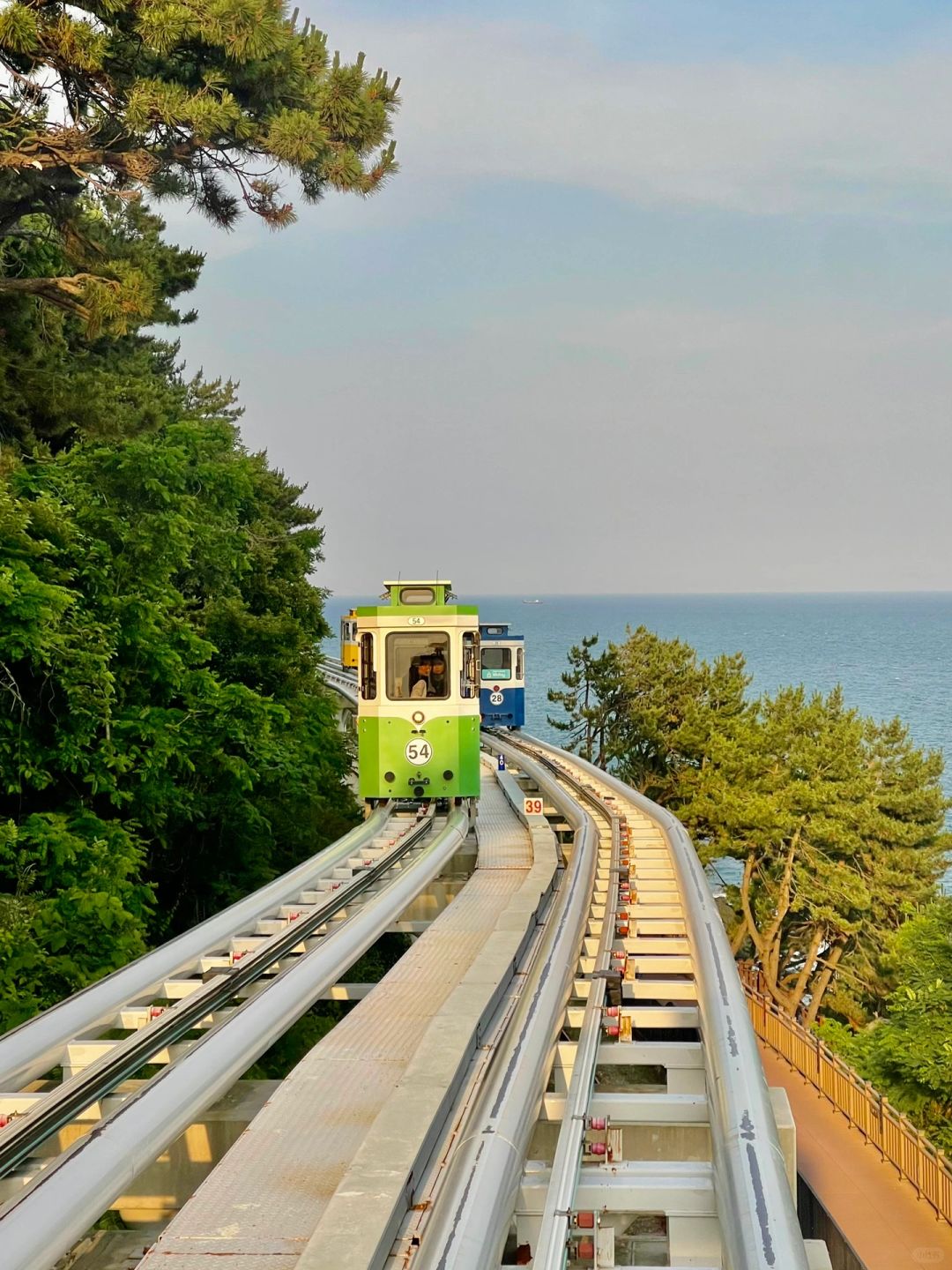 Busan/Jeju-Travel to Busan, take a capsule train, and have a coffee at Haeundae Beach in the afternoon