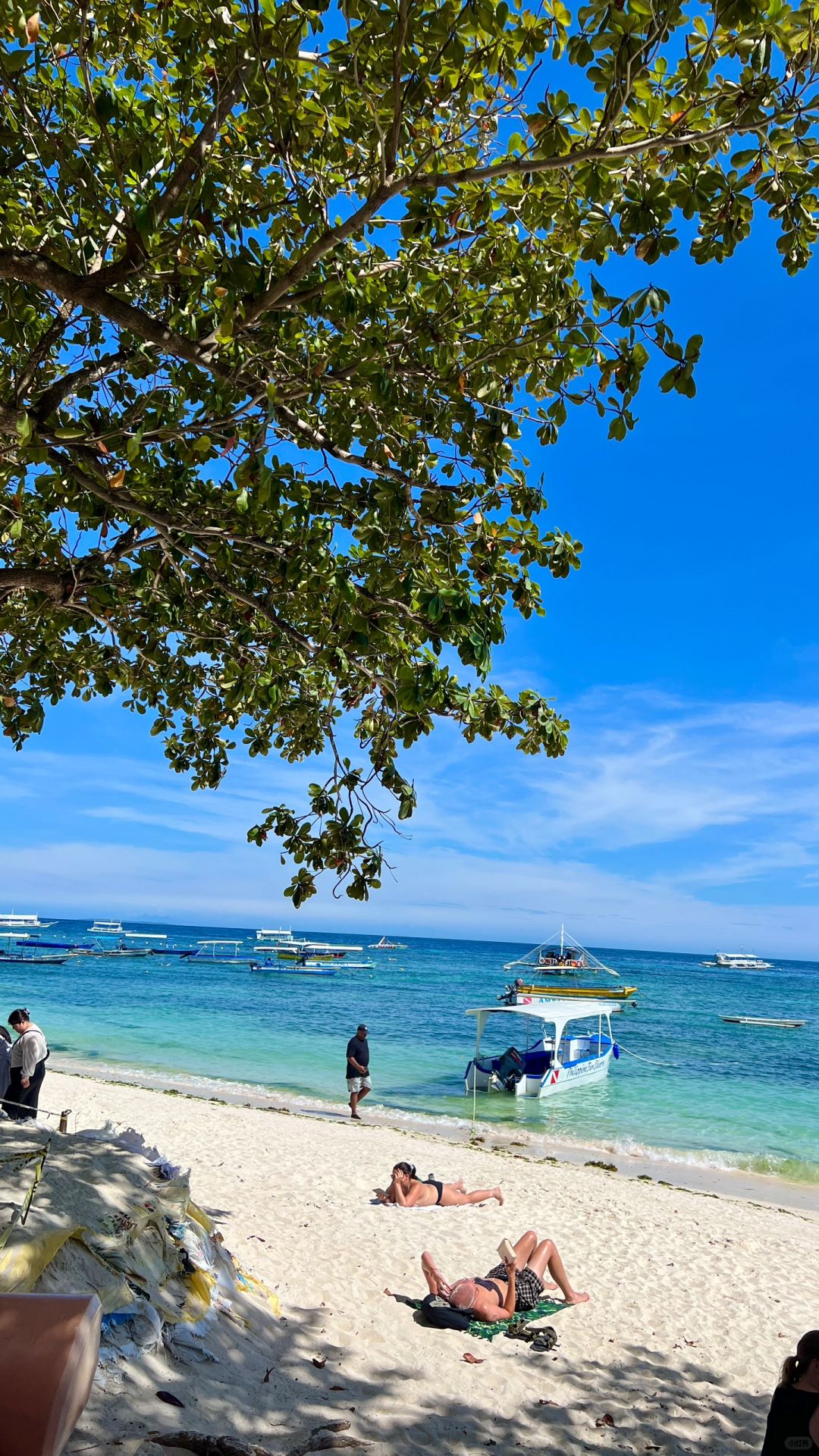 Manila/Luzon-Philippines 7 days per person 1000 US dollars, Manila + Bohol Island detailed guide