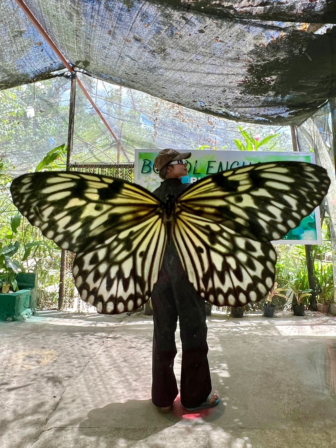 Manila/Luzon-Philippines 7 days per person 1000 US dollars, Manila + Bohol Island detailed guide