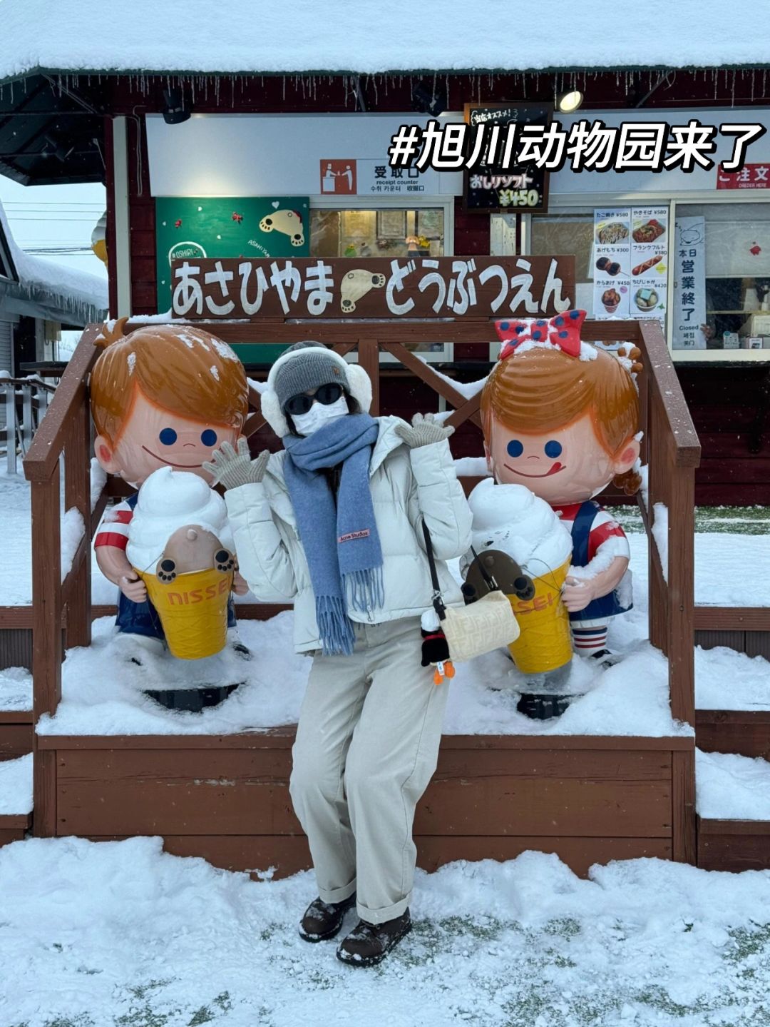 Sapporo/Hokkaido-Fairytale Hokkaido travel, thick snow, colorful cottages, long coastline and retro trams