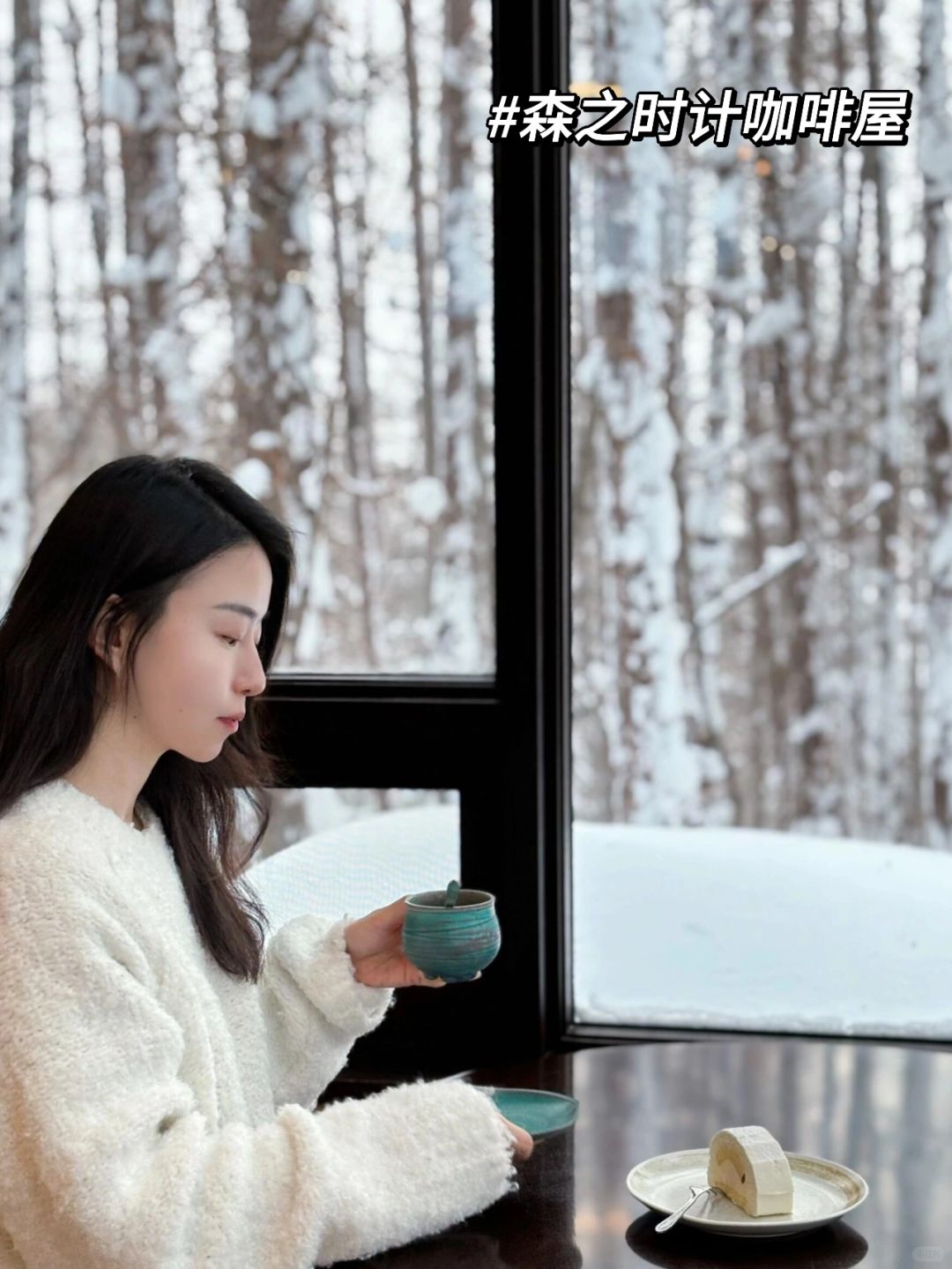 Sapporo/Hokkaido-Fairytale Hokkaido travel, thick snow, colorful cottages, long coastline and retro trams