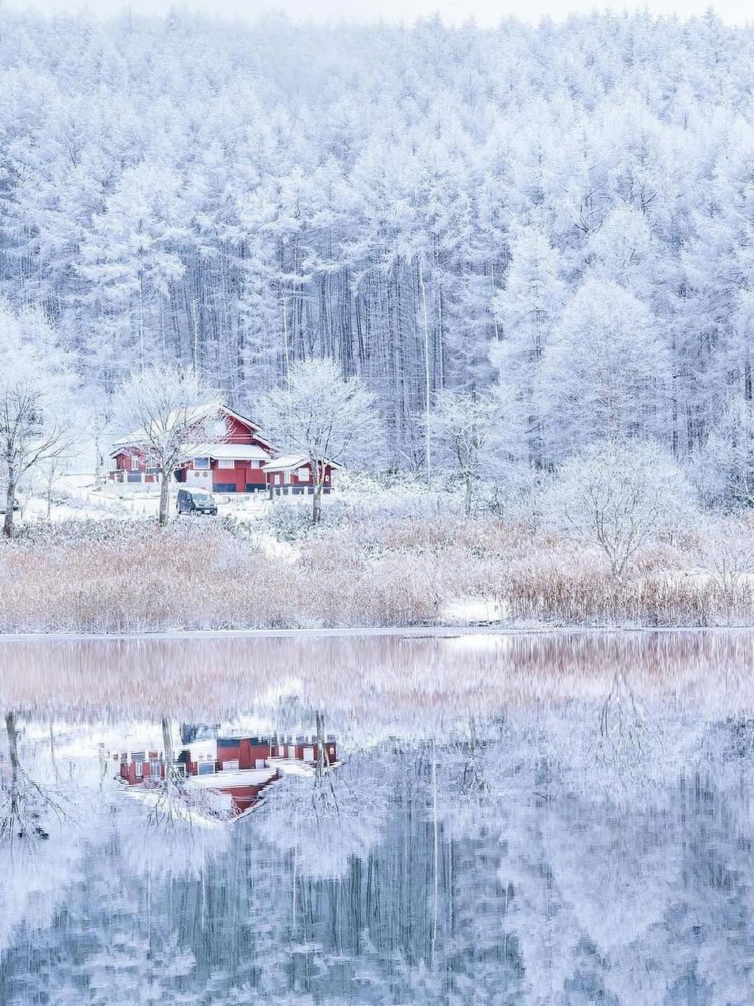 Sapporo/Hokkaido-A must-have for couples?‍❤️‍? | A 6-day romantic and sweet travel list in Hokkaido