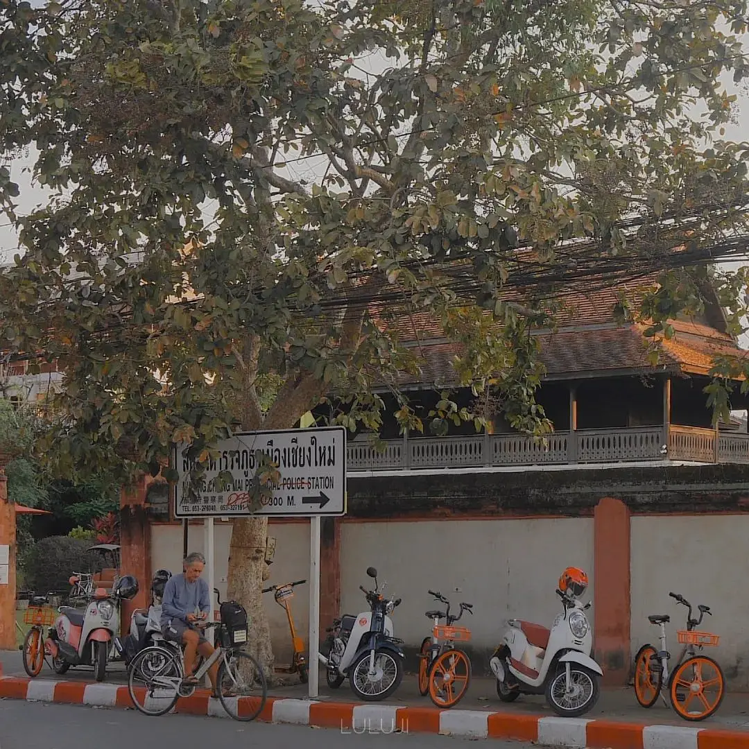 Chiang Mai-Travel in Chiang Mai and live like a local?. Who doesn’t have a favorite place?