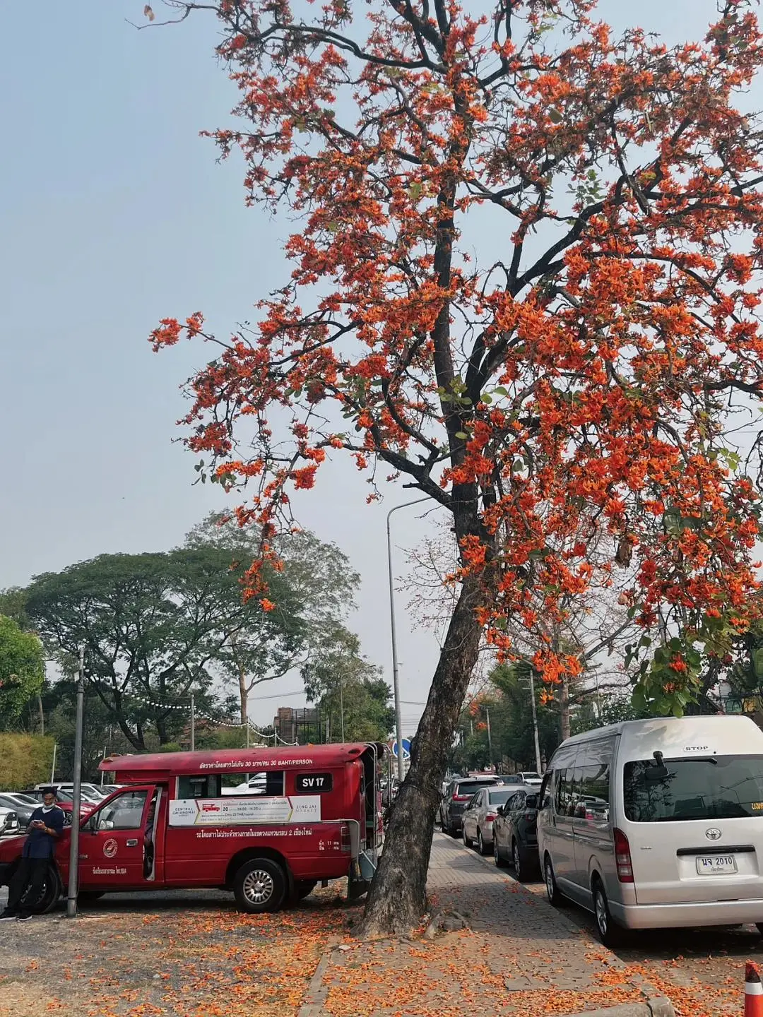 Chiang Mai-Travel in Chiang Mai and live like a local?. Who doesn’t have a favorite place?
