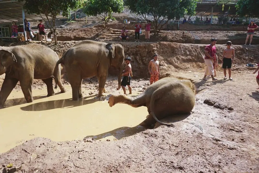 Chiang Mai-Travel in Chiang Mai and live like a local?. Who doesn’t have a favorite place?