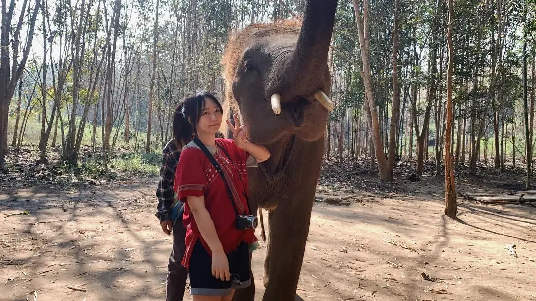 Chiang Mai-Travel in Chiang Mai and live like a local?. Who doesn’t have a favorite place?