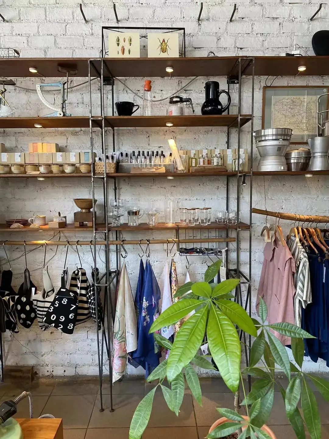 Chiang Mai-Impressions of Chiang Mai travel: cheap prices, warm climate, and cafes everywhere