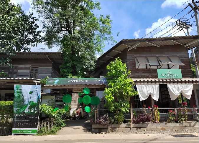 Chiang Mai-Chiang Mai Travel Guide: A Weeklong Trip to Chiang Mai, Thailand for $200, Full of Greenery