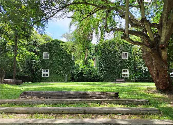 Chiang Mai-Chiang Mai Travel Guide: A Weeklong Trip to Chiang Mai, Thailand for $200, Full of Greenery
