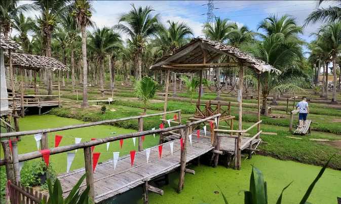 Chiang Mai-Chiang Mai Travel Guide: A Weeklong Trip to Chiang Mai, Thailand for $200, Full of Greenery