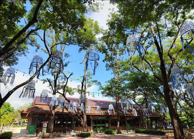 Chiang Mai-Chiang Mai Travel Guide: A Weeklong Trip to Chiang Mai, Thailand for $200, Full of Greenery