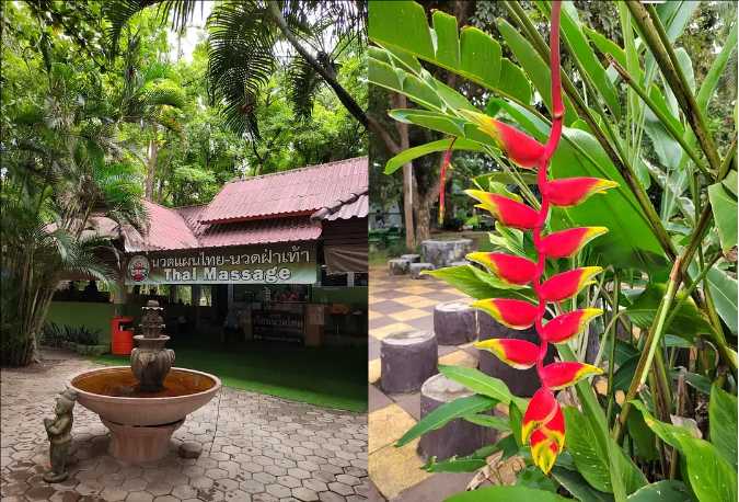 Chiang Mai-Chiang Mai Travel Guide: A Weeklong Trip to Chiang Mai, Thailand for $200, Full of Greenery