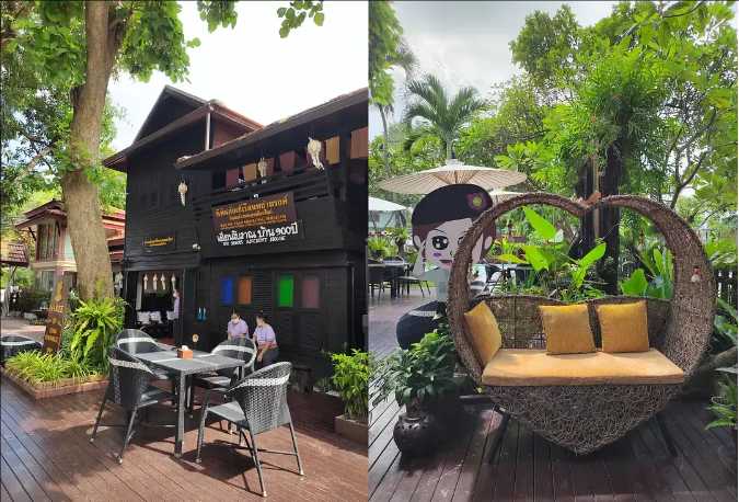Chiang Mai-Chiang Mai Travel Guide: A Weeklong Trip to Chiang Mai, Thailand for $200, Full of Greenery