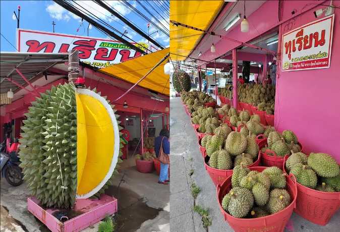 Chiang Mai-Chiang Mai Travel Guide: A Weeklong Trip to Chiang Mai, Thailand for $200, Full of Greenery