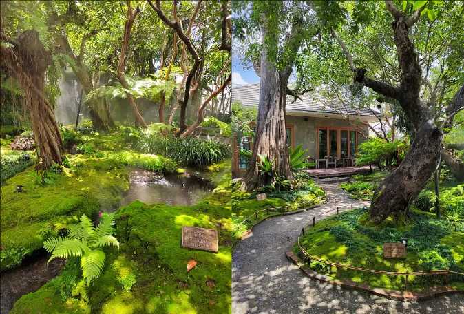 Chiang Mai-Chiang Mai Travel Guide: A Weeklong Trip to Chiang Mai, Thailand for $200, Full of Greenery