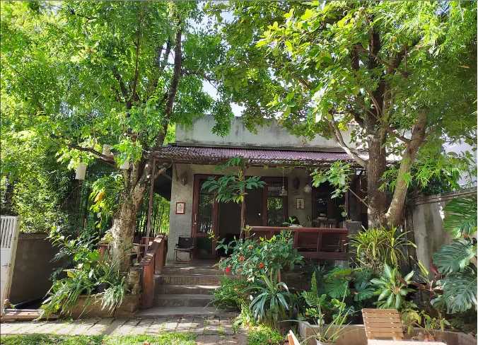 Chiang Mai-Chiang Mai Travel Guide: A Weeklong Trip to Chiang Mai, Thailand for $200, Full of Greenery