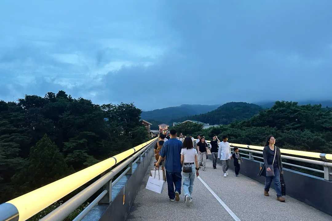 Tokyo-Tokyo trip to see Mt. Fuji, Arakurayama Park, Five-Storied Pagoda, Sengen Shrine and cherry blossoms.