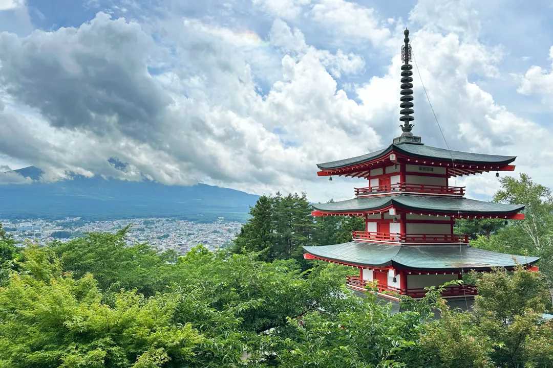 Tokyo-Tokyo trip to see Mt. Fuji, Arakurayama Park, Five-Storied Pagoda, Sengen Shrine and cherry blossoms.