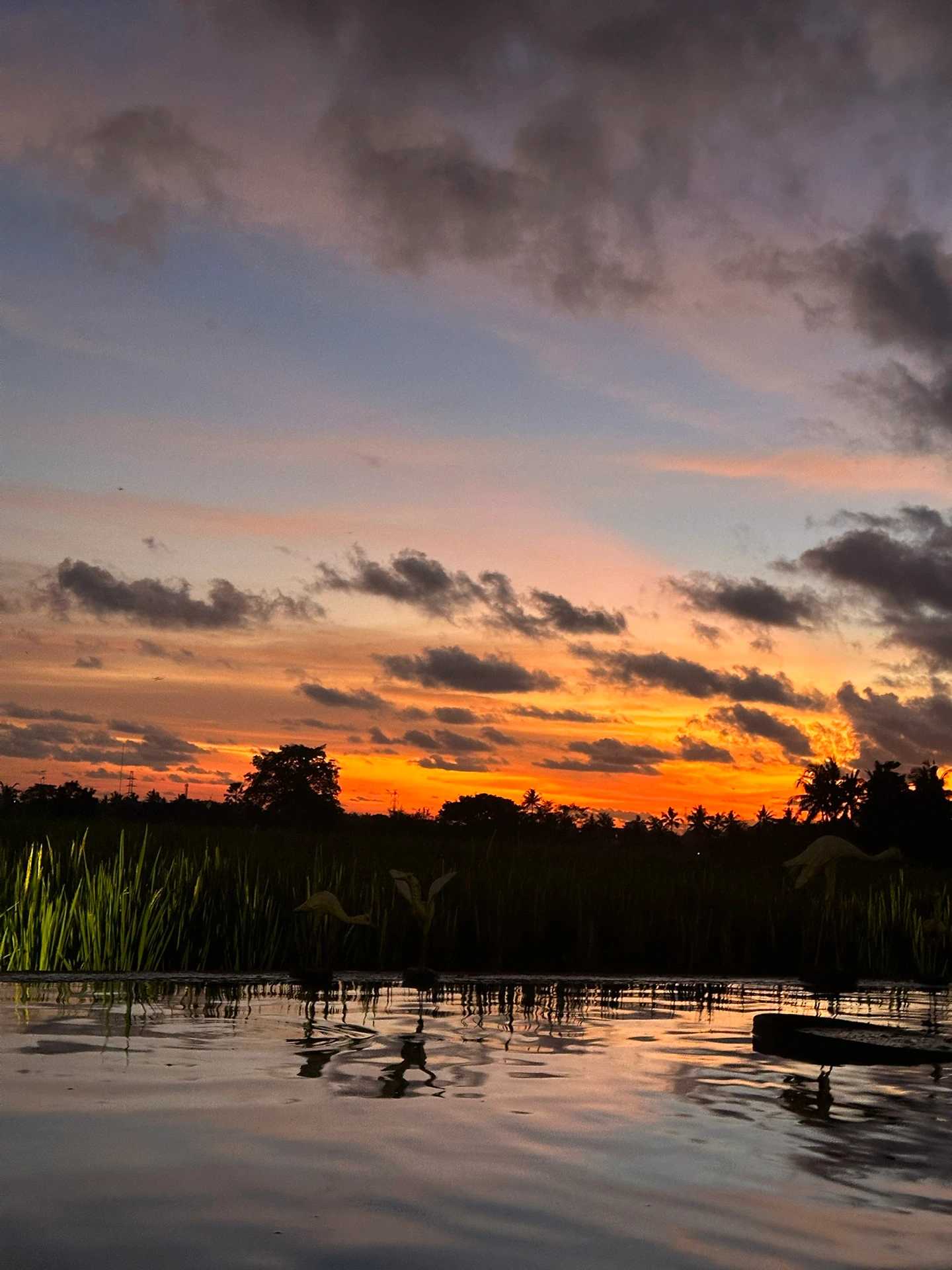 Bali-Four days and three nights in Bali?, a 22-year-old girl's solo travel guide