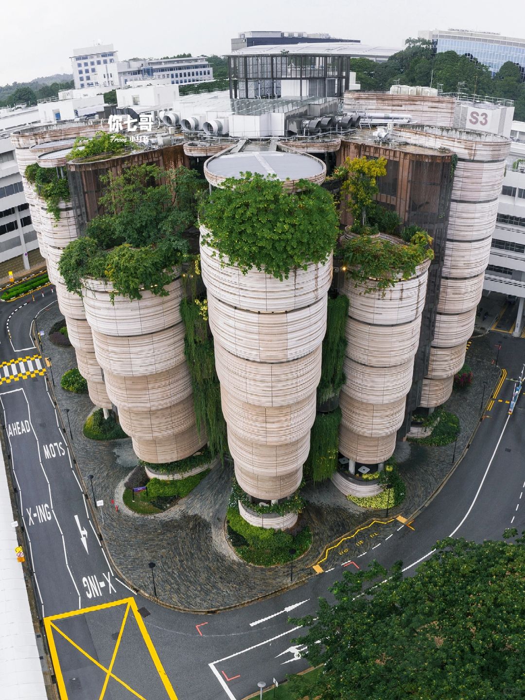 Singapore-Browsing The Hive? on the campus of Nanyang Technological University, Singapore