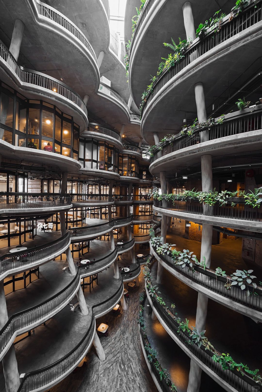Singapore-Browsing The Hive? on the campus of Nanyang Technological University, Singapore