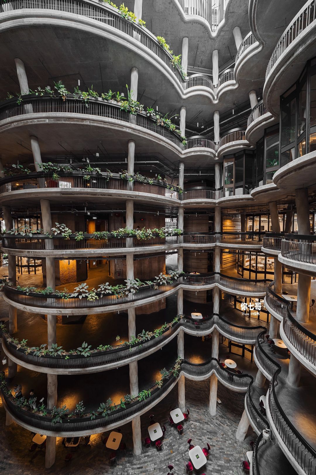Singapore-Browsing The Hive? on the campus of Nanyang Technological University, Singapore