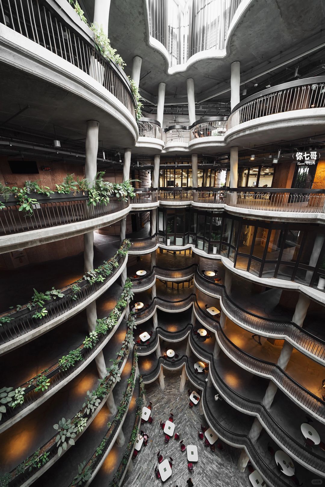 Singapore-Browsing The Hive? on the campus of Nanyang Technological University, Singapore
