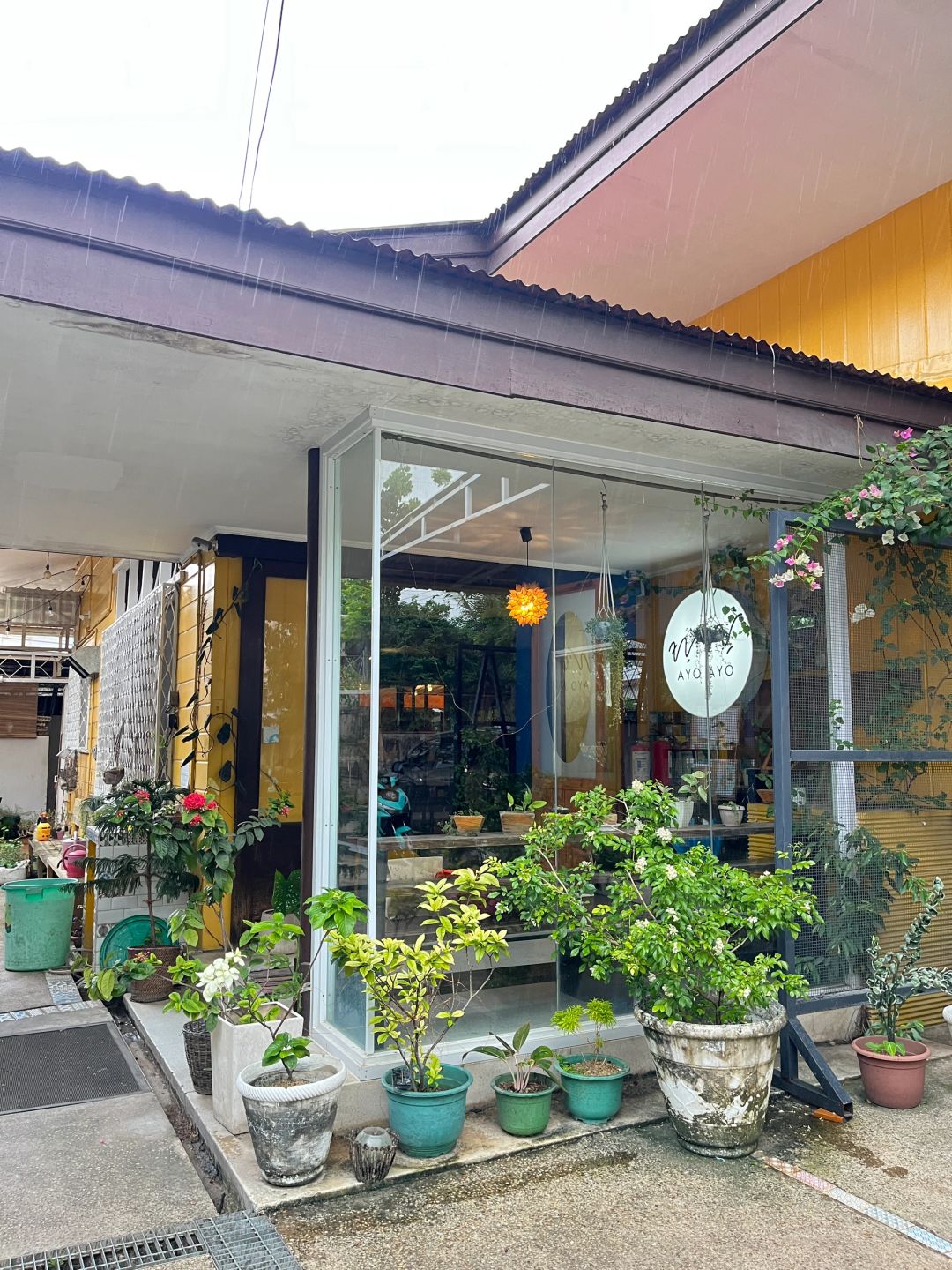 Cebu-Let's go to AYO AYO Cafe&Sauna in Cebu City Center to experience the pleasure of girls