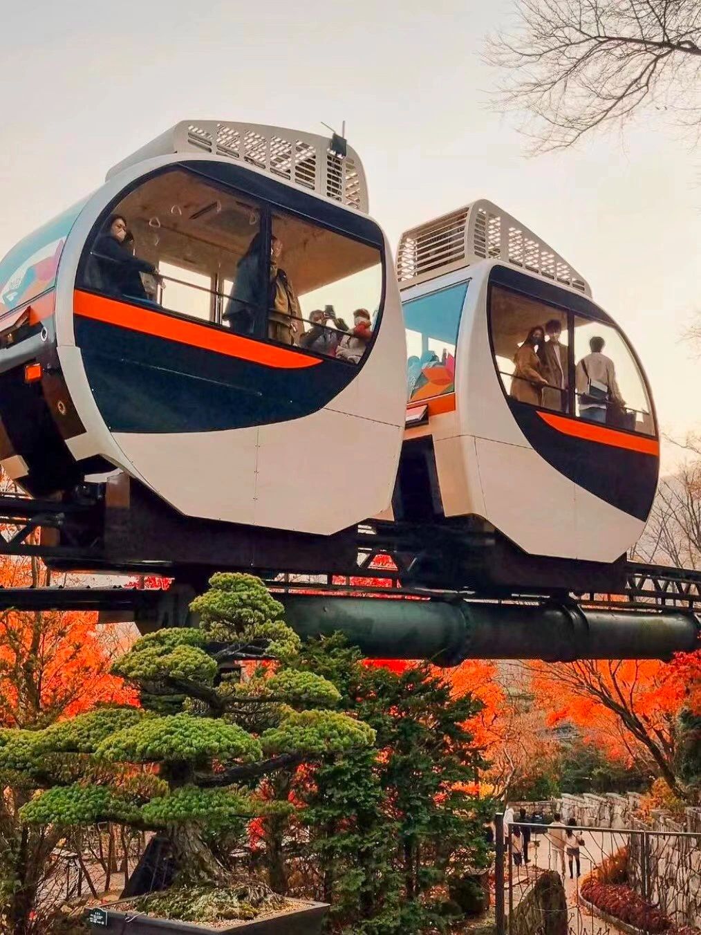 Seoul-Travel to Korea, ?Take the Dream Train to the Flower Forest and enjoy the autumn leaves