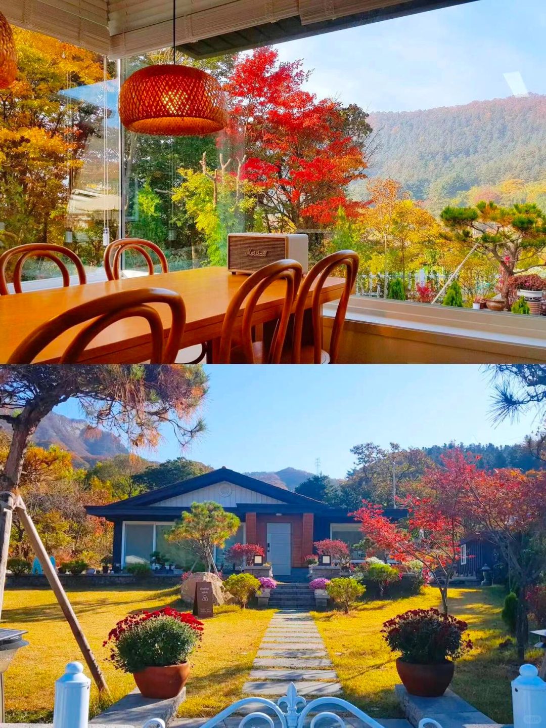 Seoul-Travel to Korea, ?Take the Dream Train to the Flower Forest and enjoy the autumn leaves