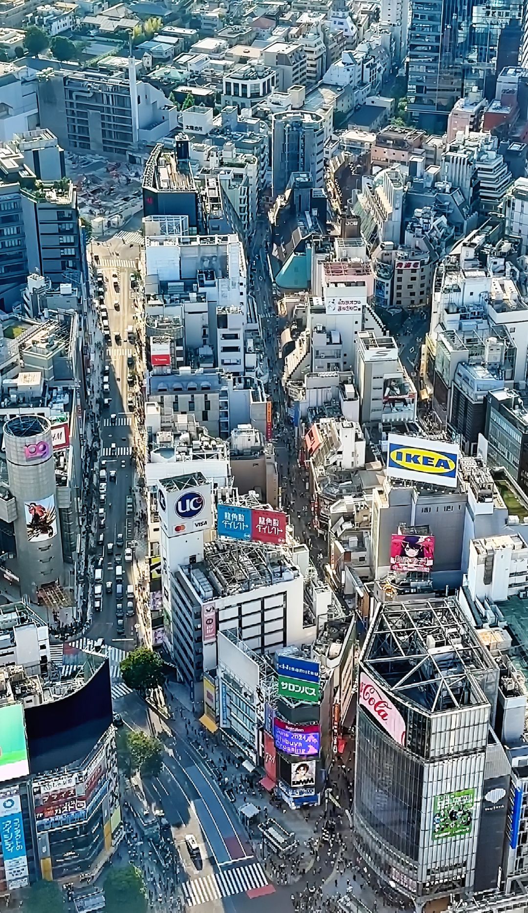 Tokyo-Enjoy the sunset and city view at Tokyo Shibuya SKY. The wind on the terrace is very strong