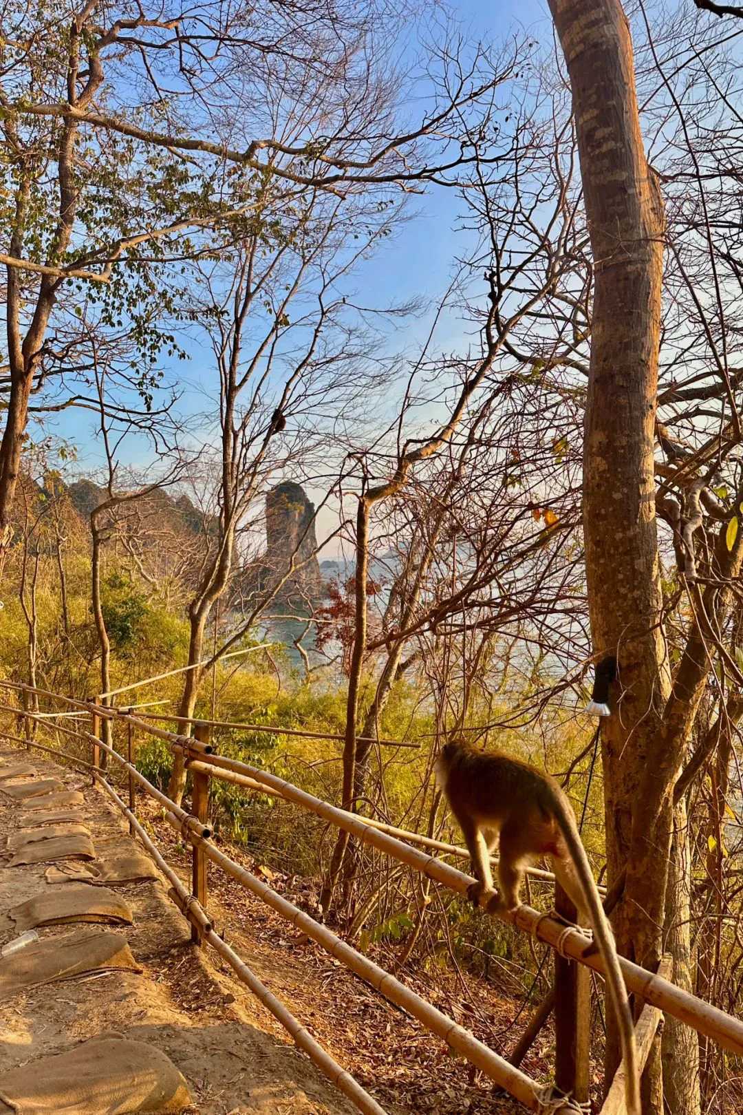 Krabi-Thailand Krabi Mirror Lake, Hong Island, Railay rock climbing trip. More fun than Phuket