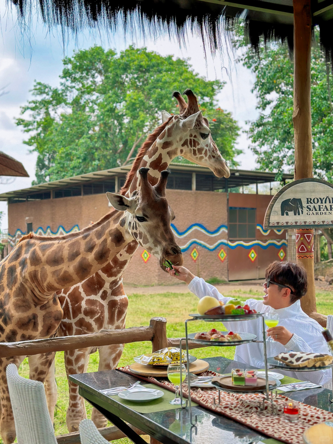 Jakarta-Dine With Giraffe in Jakarta, Indonesia, ??share a dreamy afternoon tea with giraffes