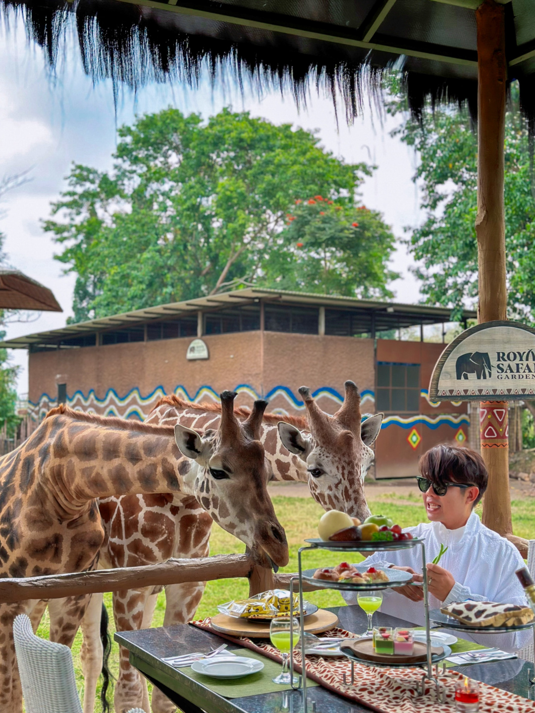 Jakarta-Dine With Giraffe in Jakarta, Indonesia, ??share a dreamy afternoon tea with giraffes