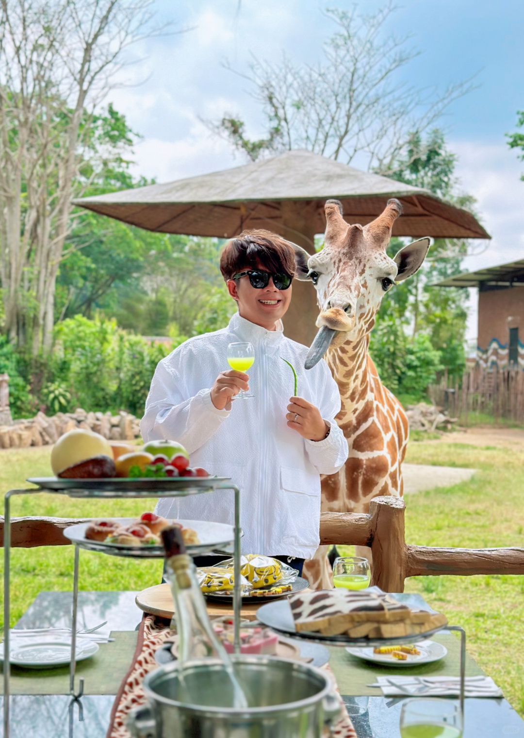 Jakarta-Dine With Giraffe in Jakarta, Indonesia, ??share a dreamy afternoon tea with giraffes