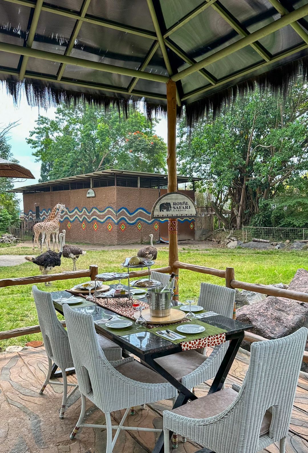 Jakarta-Dine With Giraffe in Jakarta, Indonesia, ??share a dreamy afternoon tea with giraffes