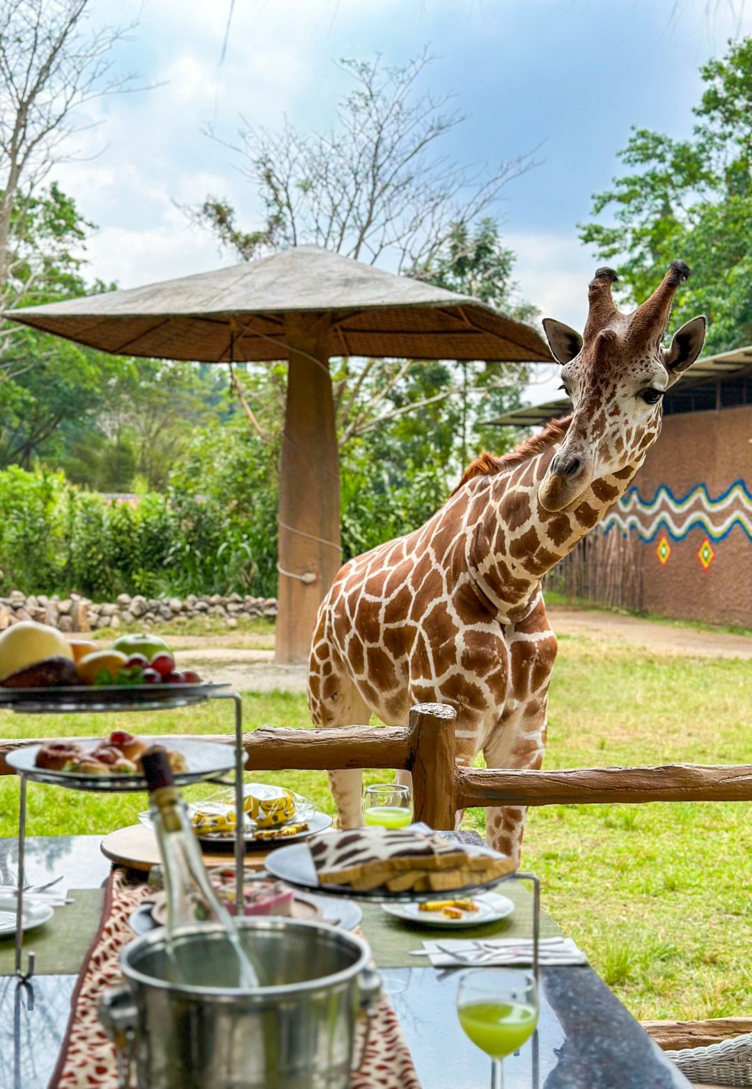 Jakarta-Dine With Giraffe in Jakarta, Indonesia, ??share a dreamy afternoon tea with giraffes