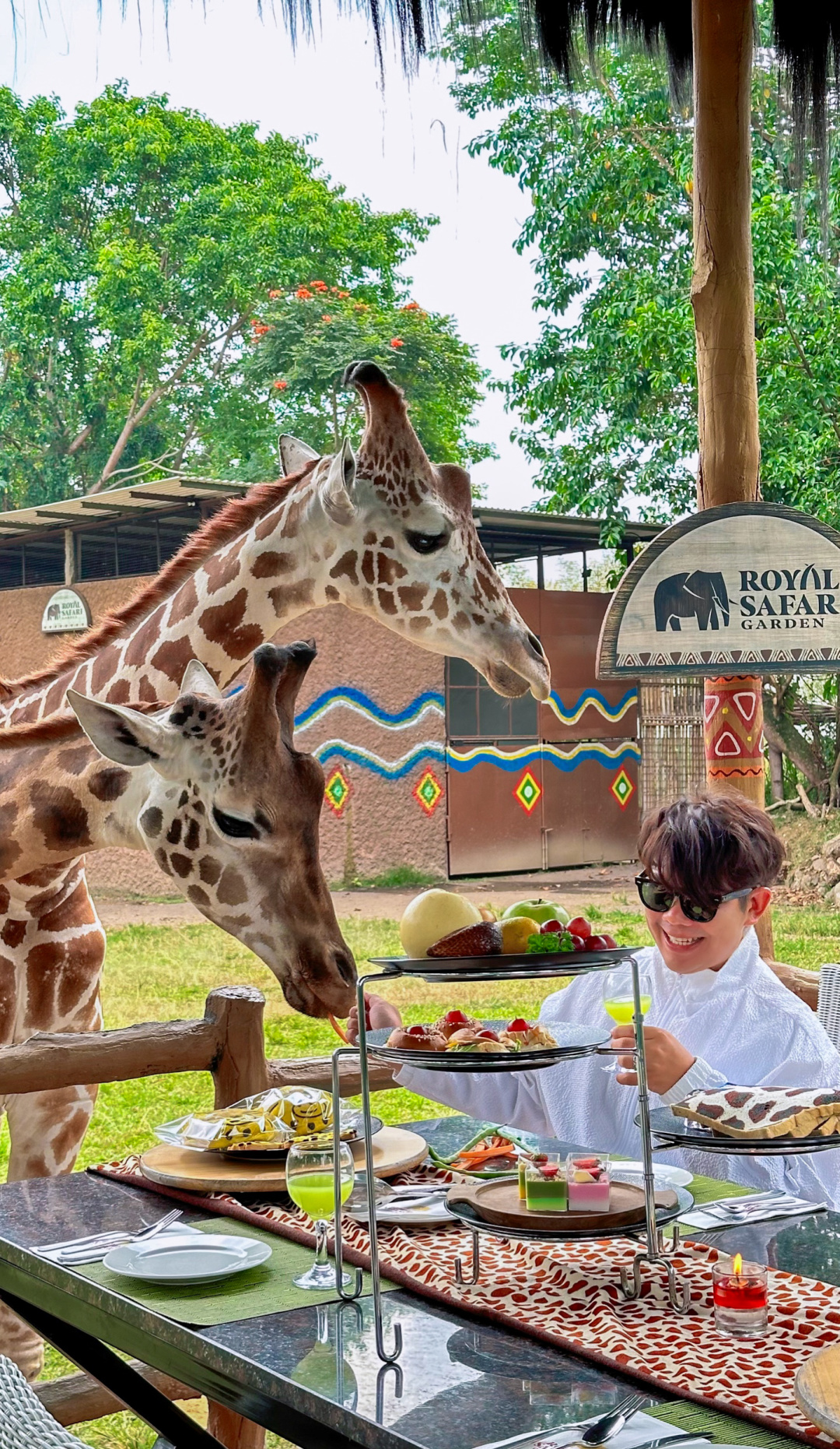 Jakarta-Dine With Giraffe in Jakarta, Indonesia, ??share a dreamy afternoon tea with giraffes