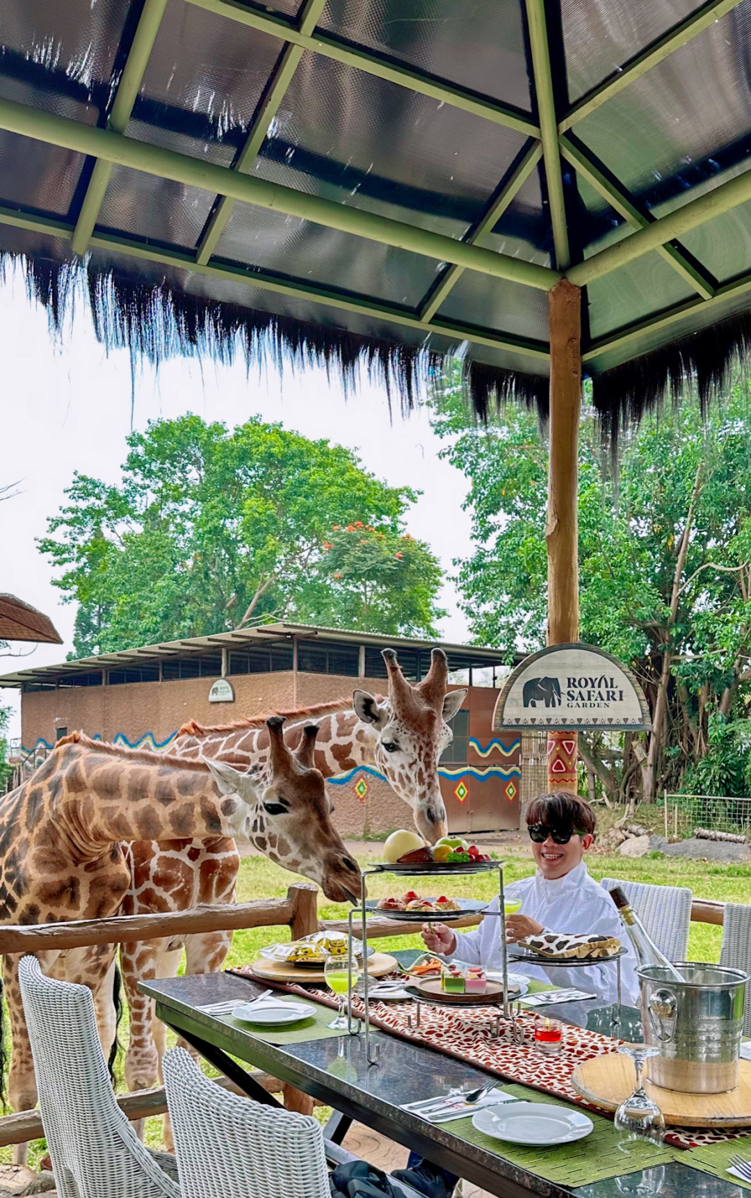 Jakarta-Dine With Giraffe in Jakarta, Indonesia, ??share a dreamy afternoon tea with giraffes