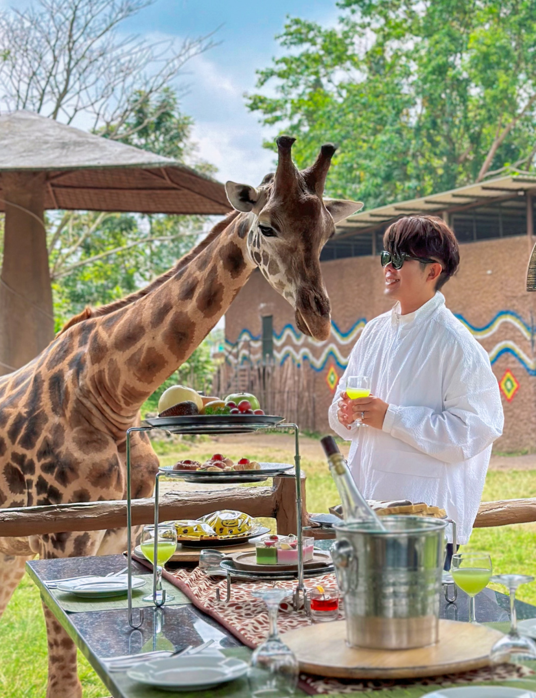 Jakarta-Dine With Giraffe in Jakarta, Indonesia, ??share a dreamy afternoon tea with giraffes