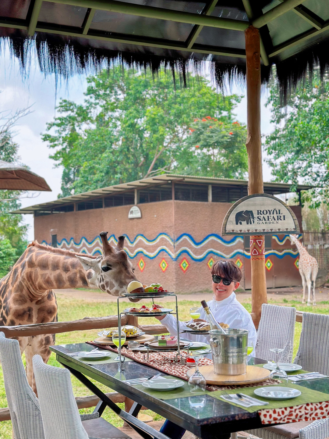 Jakarta-Dine With Giraffe in Jakarta, Indonesia, ??share a dreamy afternoon tea with giraffes