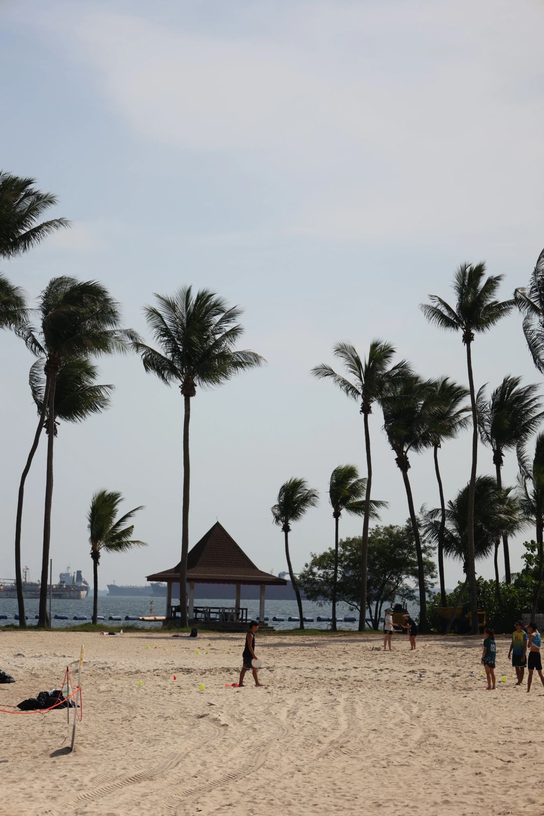 Singapore-Singapore Sentosa Beach, taking a photo with the crooked tree at the southernmost tip of the Asian continent