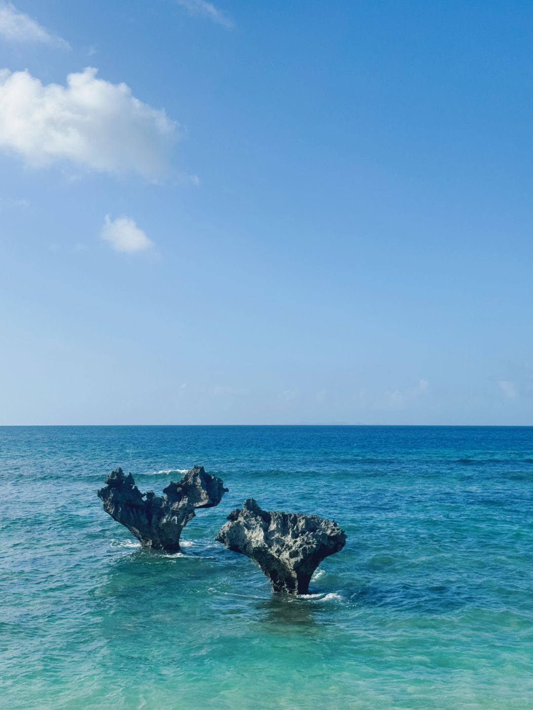 Okinawa-One-day trip to northern Okinawa. Local characteristics, delicious food, sea and fun