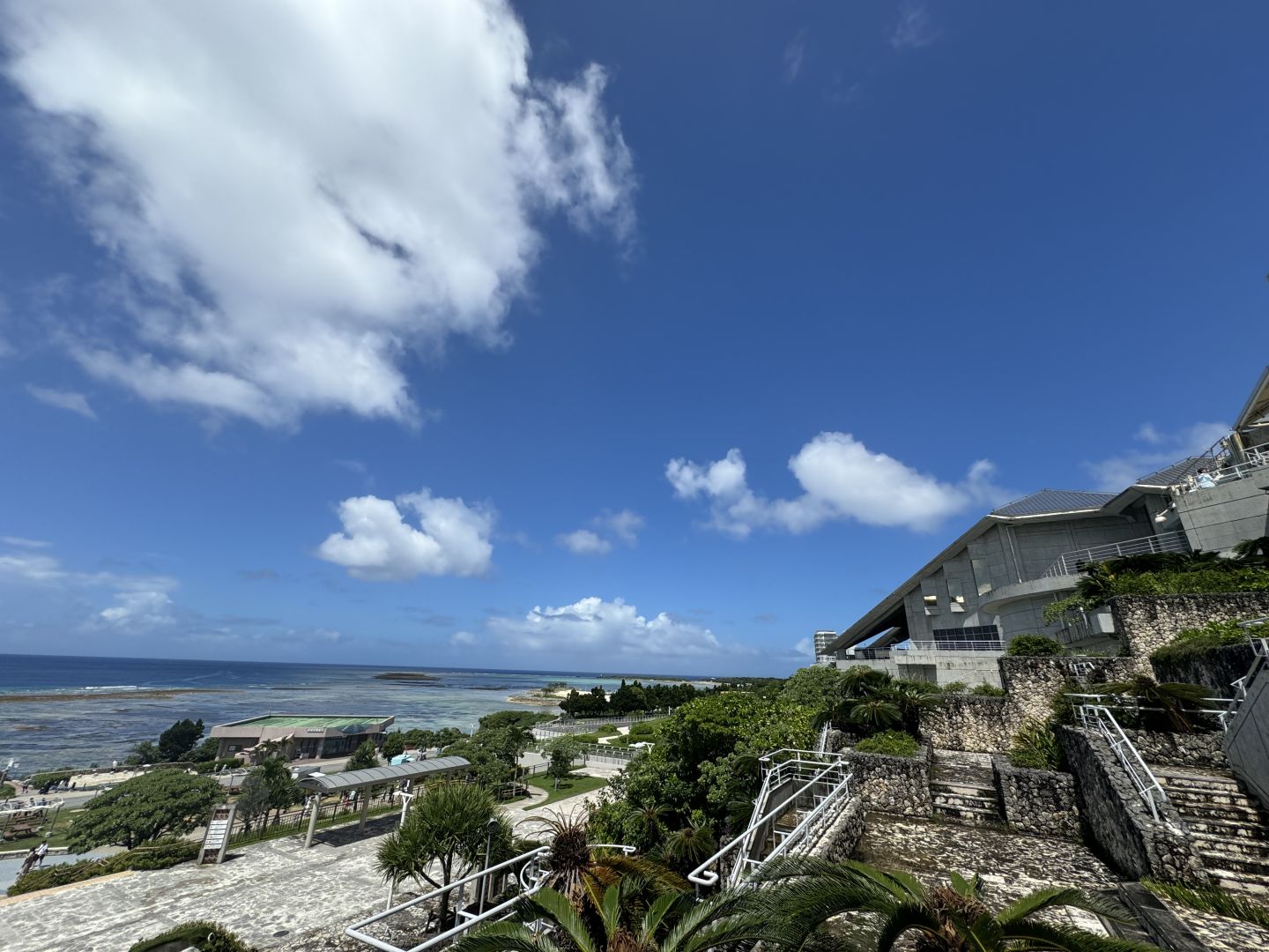 Okinawa-One-day trip to northern Okinawa. Local characteristics, delicious food, sea and fun