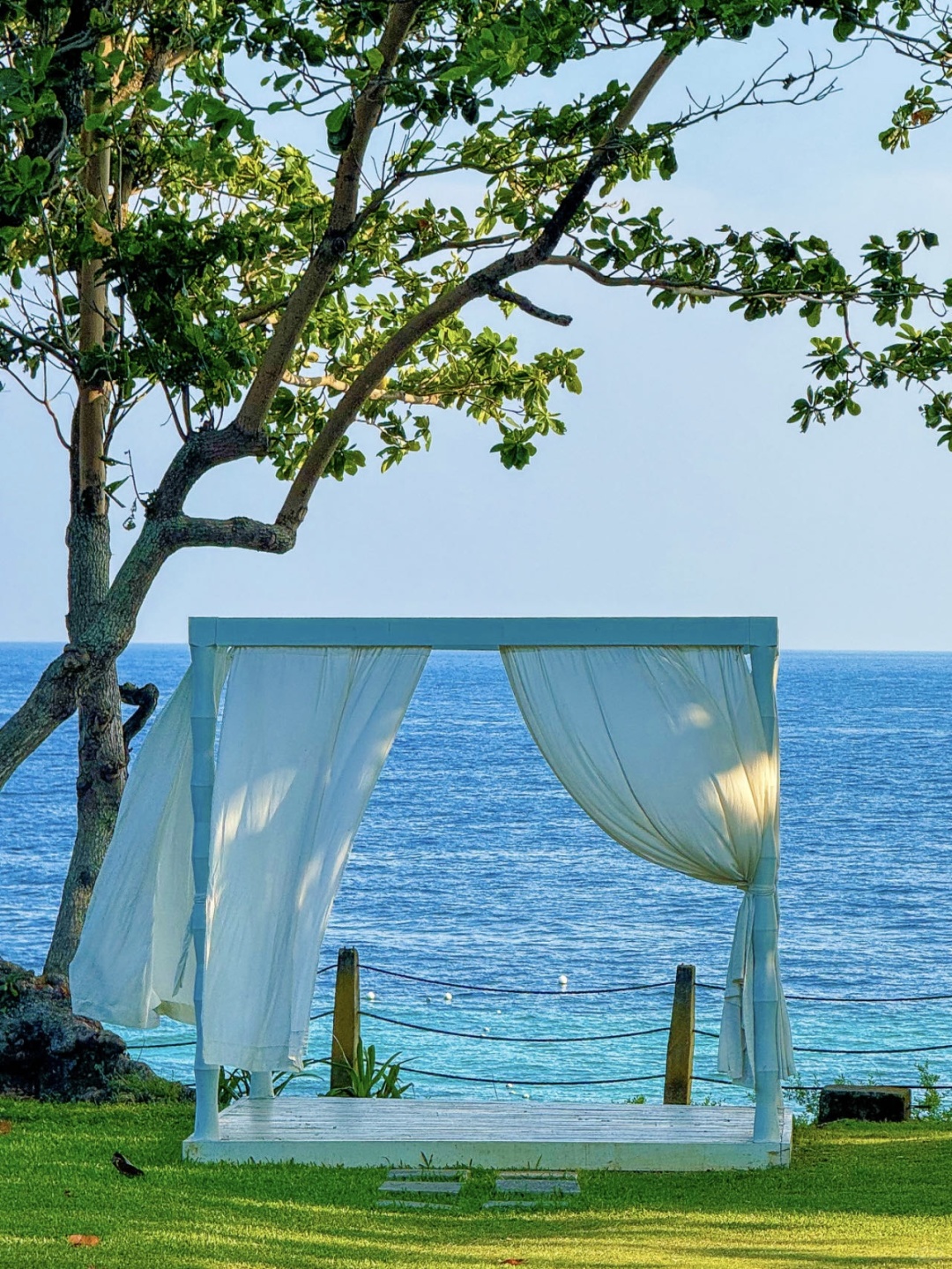Cebu-Cebu and Bohol in the Philippines, the natural scenery for snorkeling is very beautiful