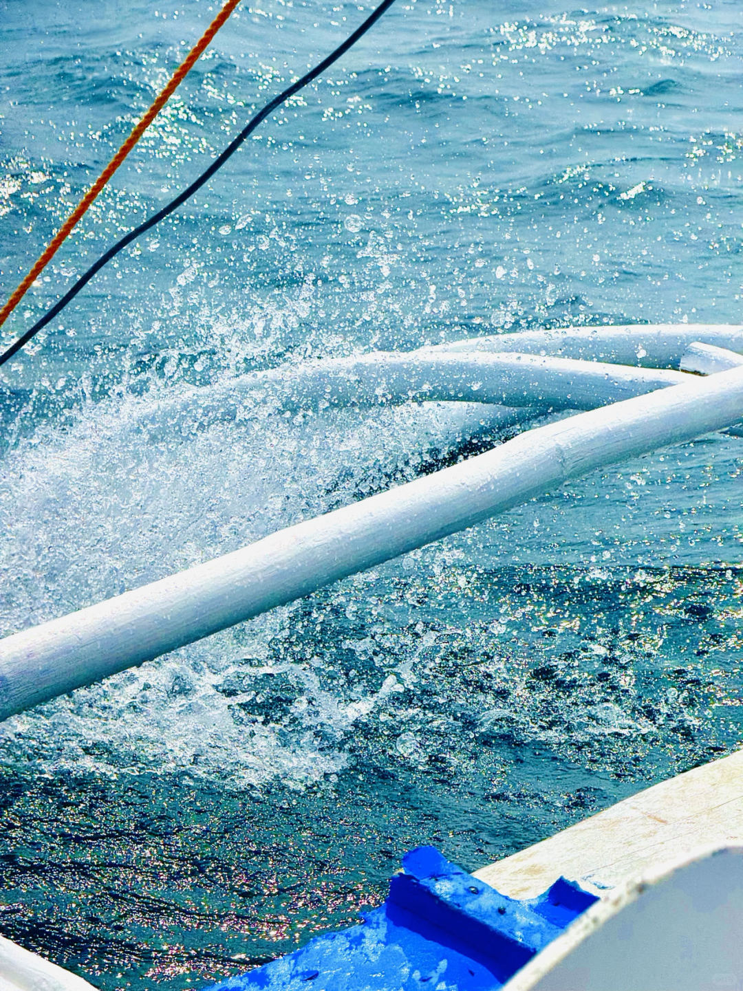 Cebu-Cebu and Bohol in the Philippines, the natural scenery for snorkeling is very beautiful