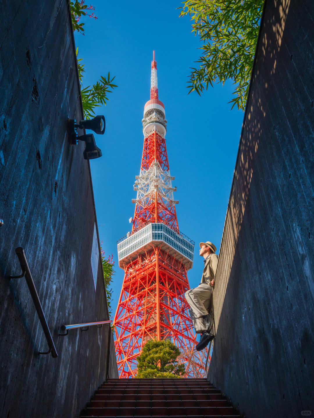 Tokyo-Travel to Japan, stay at Prince Hotel, visit Tokyo Shiba Park and Kyoto Maruyama Park