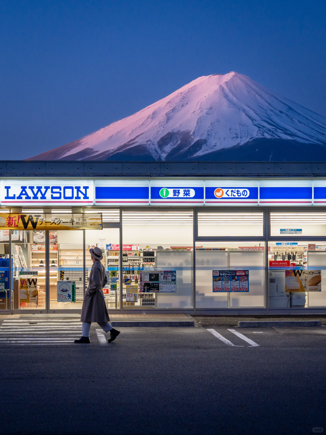 Tokyo-Travel to Japan, stay at Prince Hotel, visit Tokyo Shiba Park and Kyoto Maruyama Park