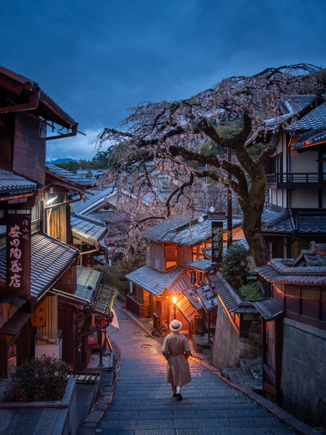 Tokyo-Travel to Japan, stay at Prince Hotel, visit Tokyo Shiba Park and Kyoto Maruyama Park